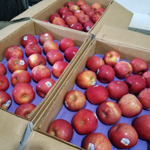 Rebel Green Feeding America Eastern Wisconsin apples donation summer break healthy snack hunger children school kids